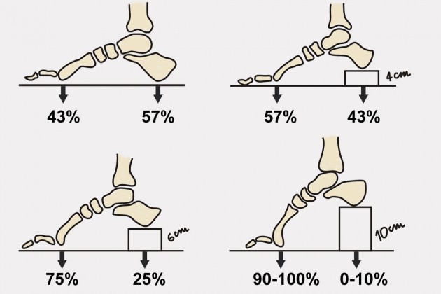 Procentowe porównanie obciążenia głów kości śródstopia i kości piętowej w butach płaskich i na obcasie.