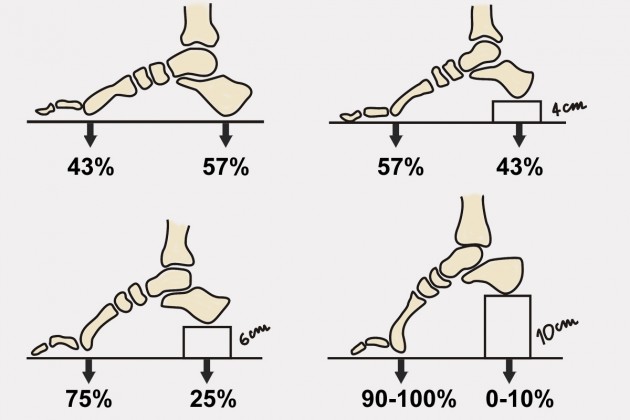 Procentowe porównanie obciążenia głów kości śródstopia i kości piętowej w butach płaskich i na obcasie.