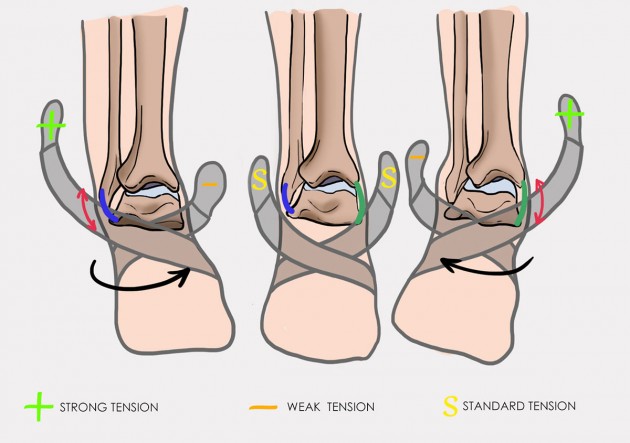 Maintain the foot in inversion or eversion