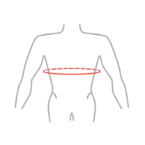 Maximum chest circumference