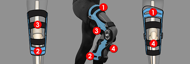 4 Point System Braces