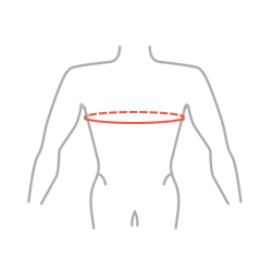 Chest circumference