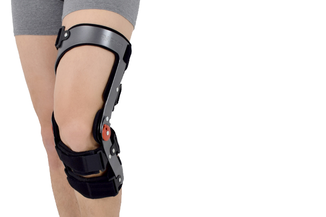 Lower limb support RAPTOR/1R