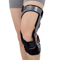 Lower limb support RAPTOR/1R