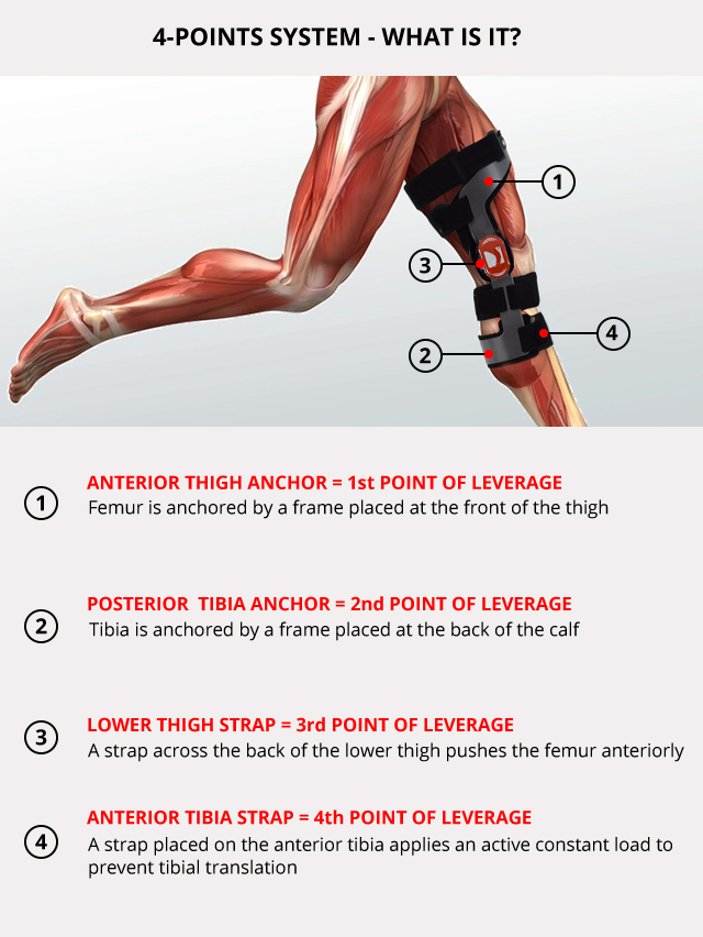 Lower limb support RAPTOR/2