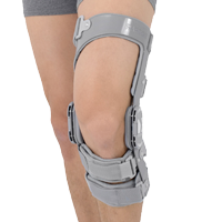 Lower limb support RAPTOR/2R