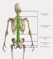 STABILIZACJA Th3-L5