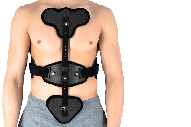 Torso support MS-T-02/LSO