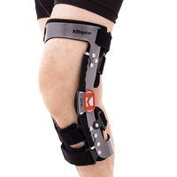 RAPTOR BIONIC