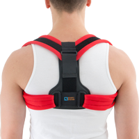 Torso support AM-TX-05