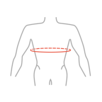 Chest circumference