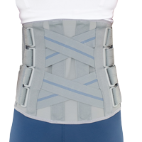 Torso support AM-SO-11 GREY