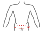 Hips circumference