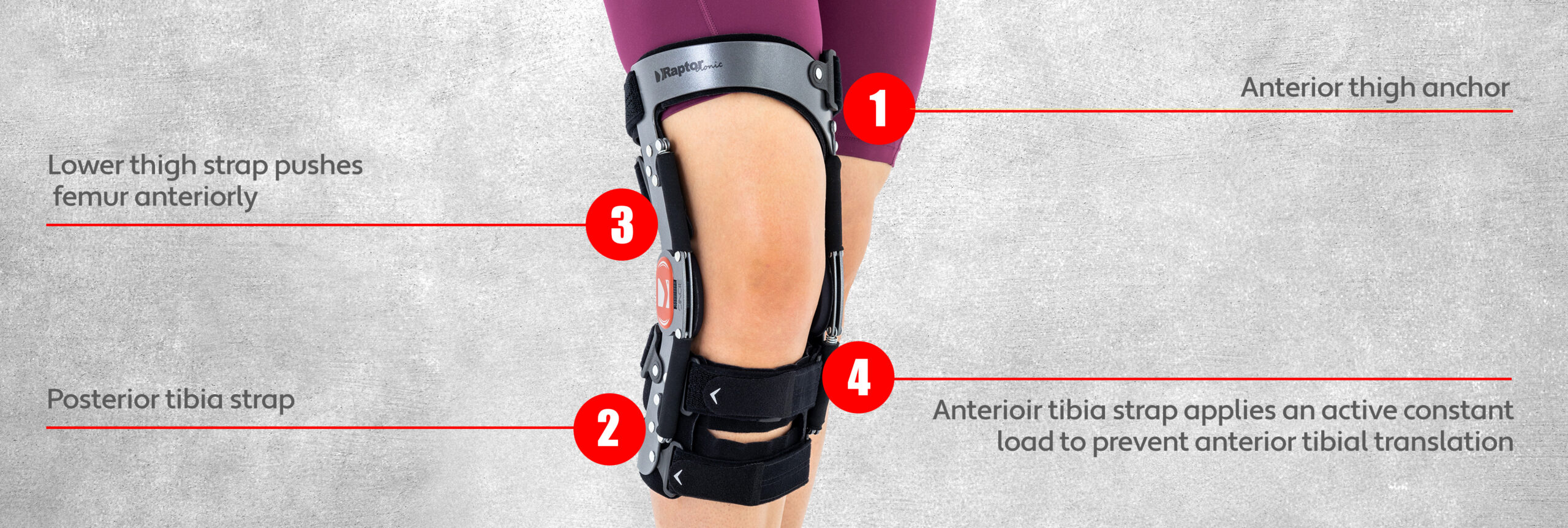 Functional knee brace RAPTOR SHORT  Reh4Mat – lower limb orthosis and  braces - Manufacturer of modern orthopaedic devices